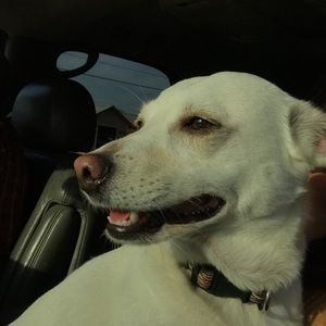 Meet your Posher, Mia